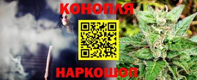 прущие грибы Будённовск