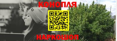 прущие грибы Будённовск