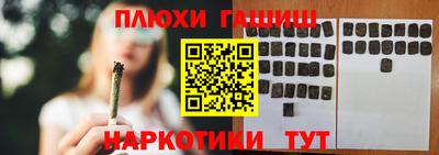 прущие грибы Будённовск
