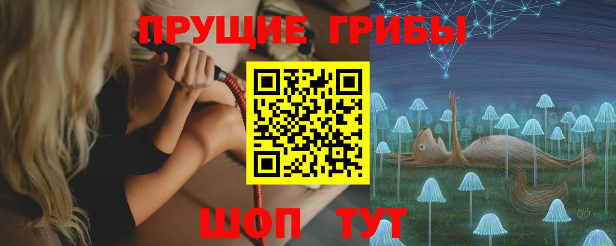Псилоцибиновые грибы мухоморы  что такое   Вход с VPN  Минеральные Воды  Галлюциногенные грибы GOLDEN TEACHER 